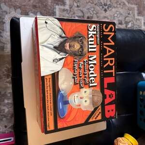 SmartLab Skull Model Snap-Together Anatomy Kit Glow-in-the-Dark Eyes and Brain